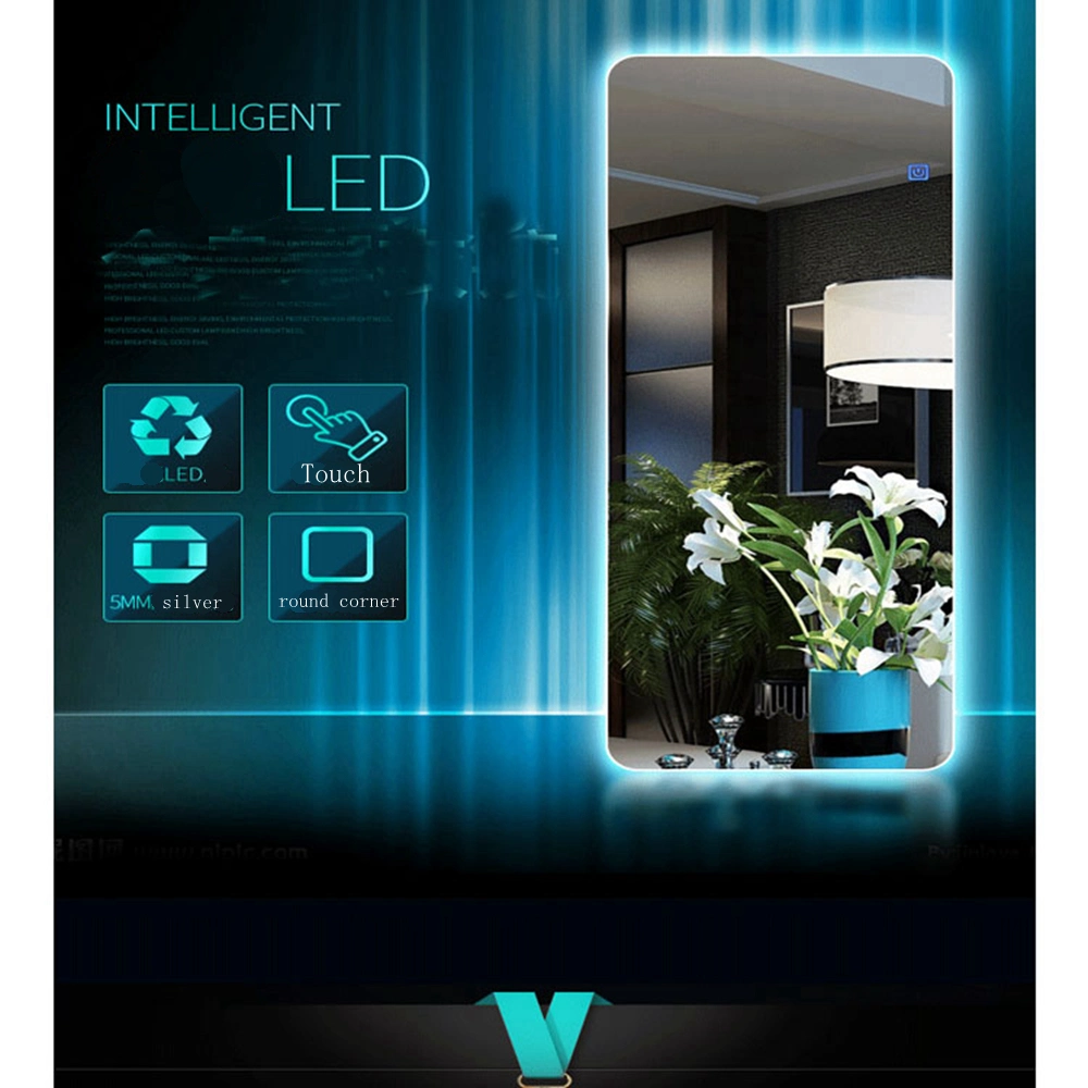 LED Wall Dressing Mirror for Home Hotel Floor Full Length Mirror